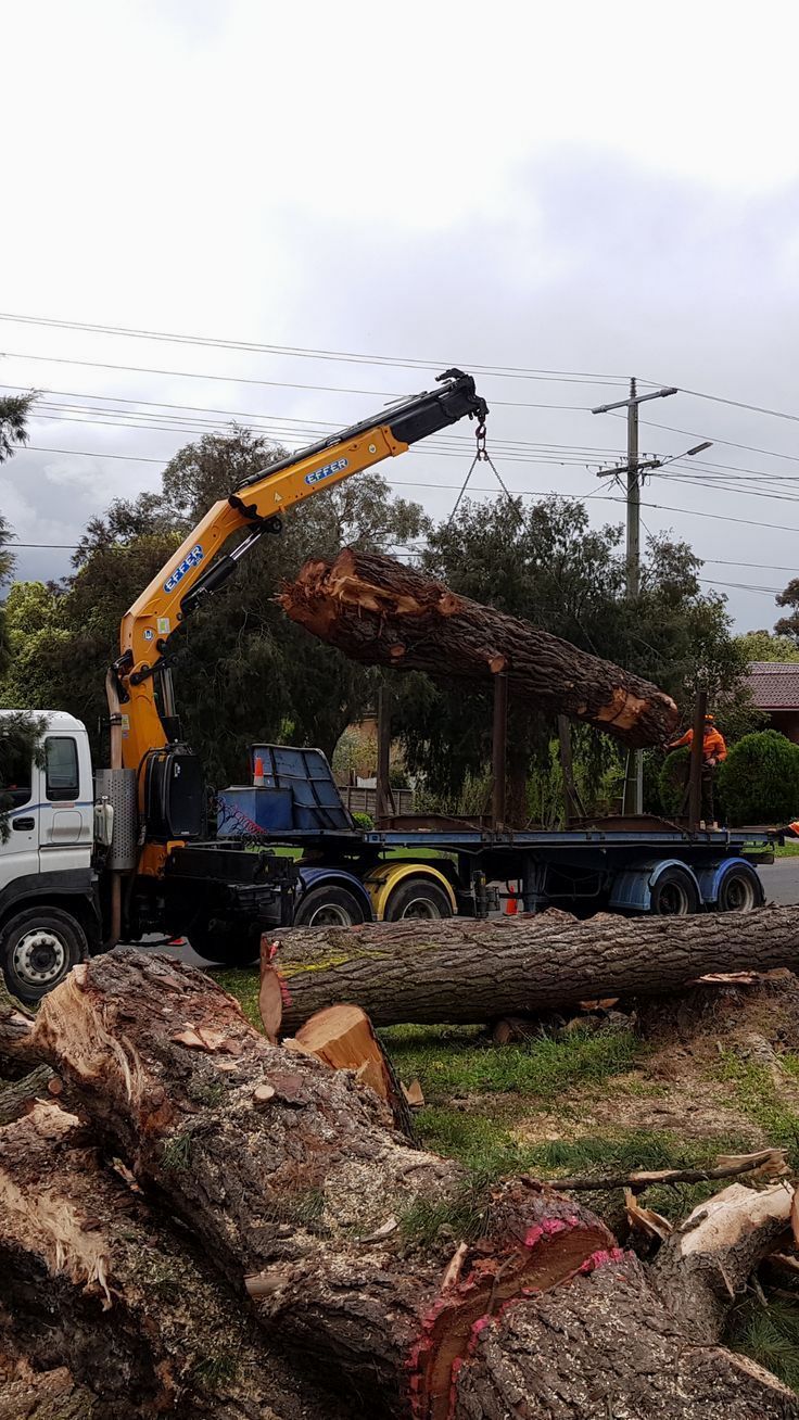 A crane is lifting a large log from a truck.