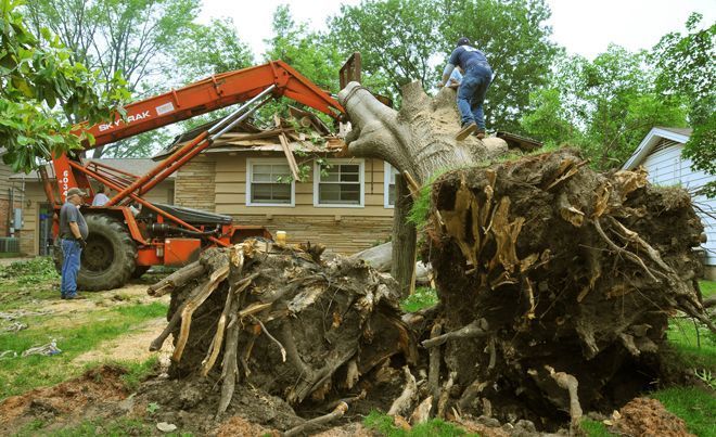 Large tree uprooted, lying on a house; workers use heavy equipment to remove the debris.