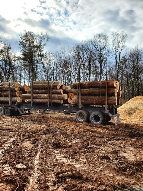 A truck carrying logs in a field with trees in the background