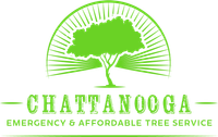 A logo for chattanooga emergency and affordable tree service.