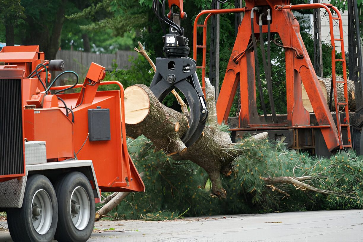 Orange wood chipper with a mechanical claw holding a tree branch, processing it.