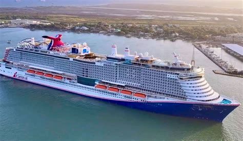Large white-and-blue cruise ship sailing near a coastal marina at sunset
