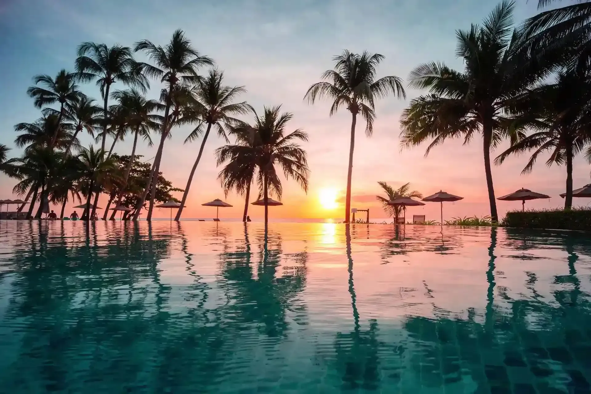 A swimming pool surrounded by palm trees and umbrellas at sunset.