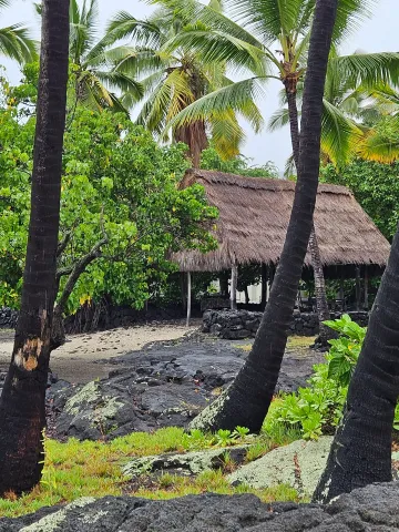 A thatched hut is surrounded by palm trees on a tropical island.