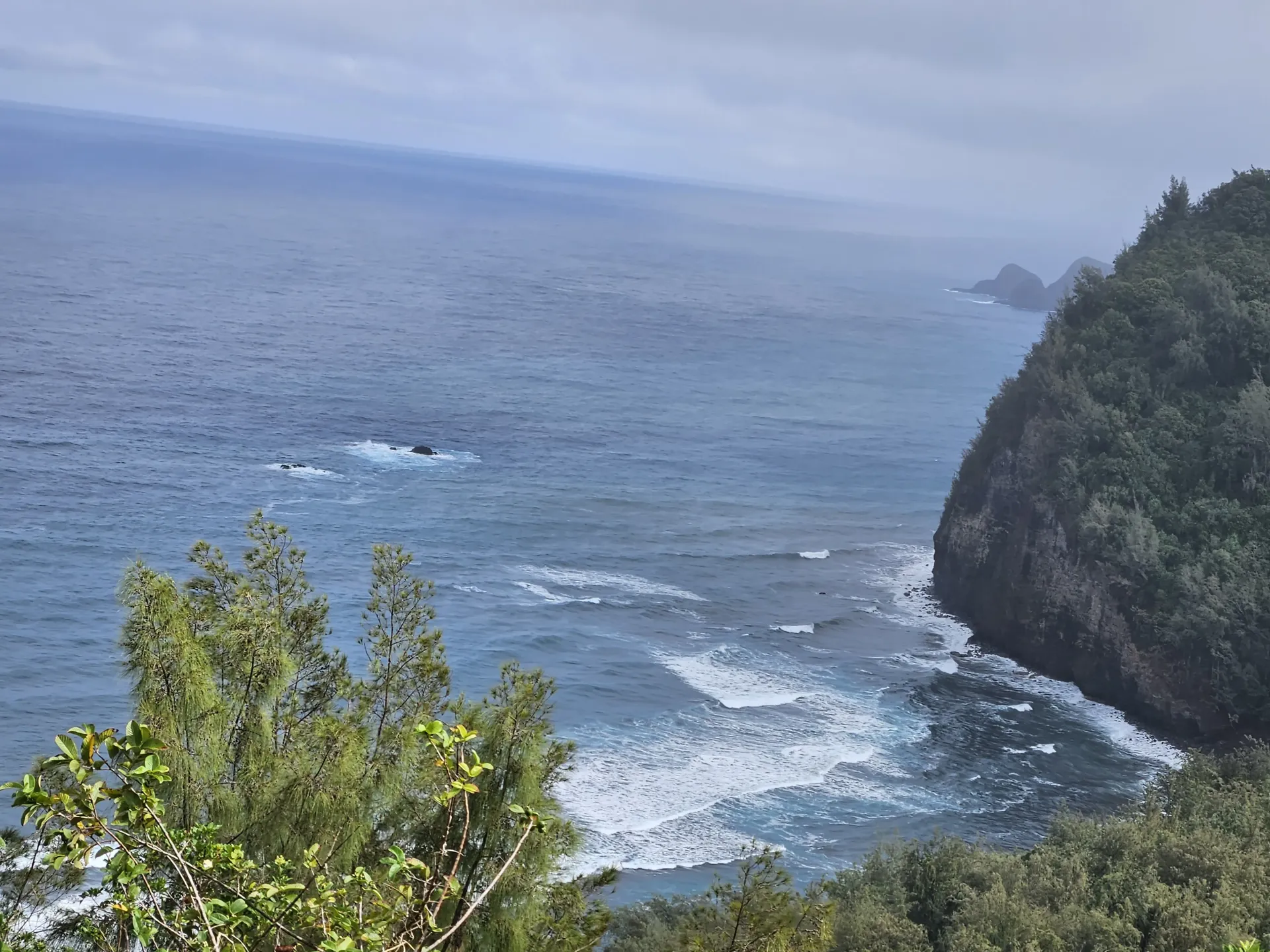 A view of the ocean from a cliff with trees in the foreground