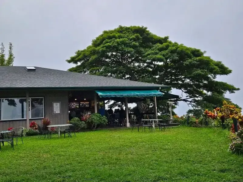 A house with a large lawn in front of it