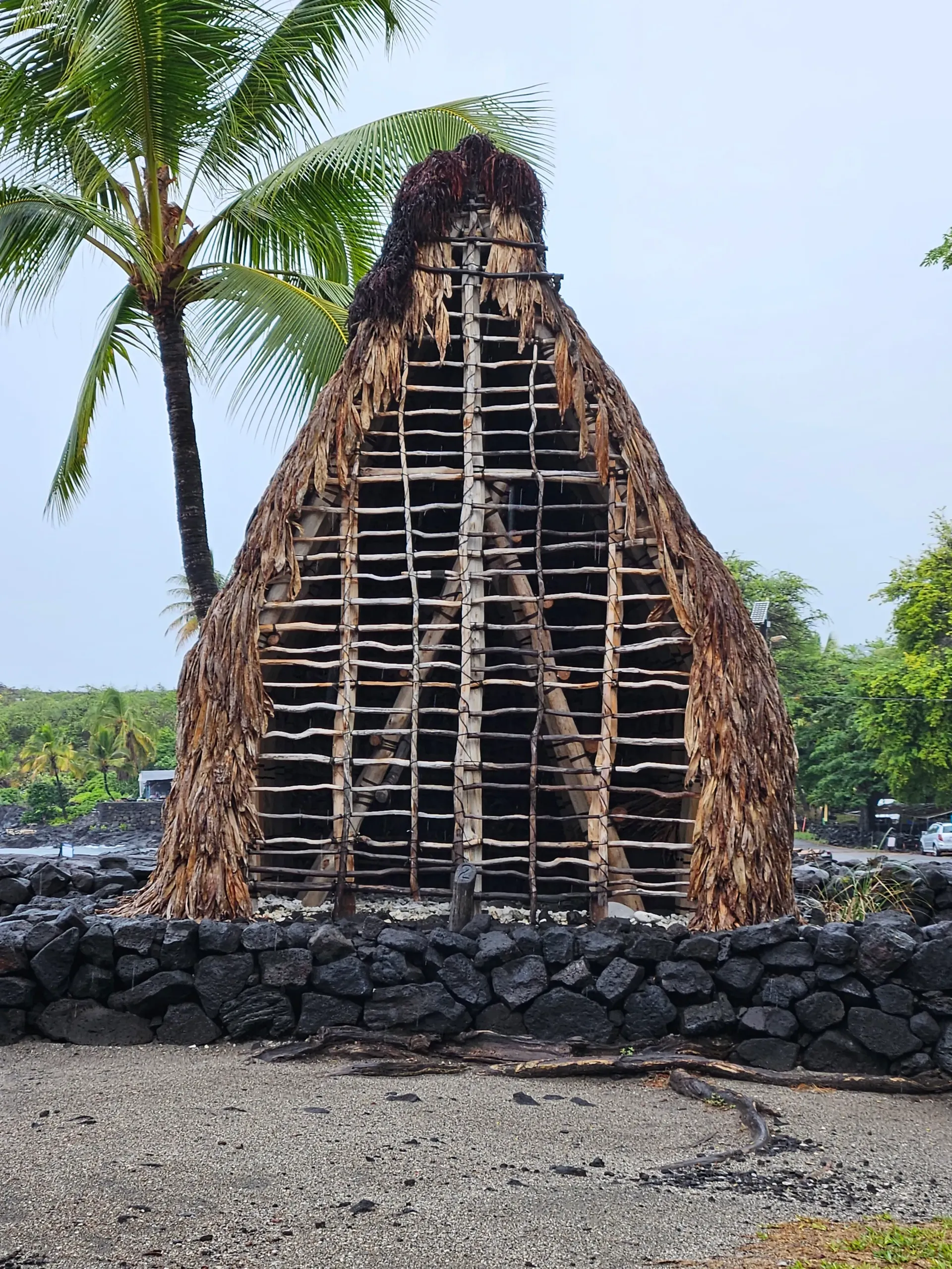 A thatched hut with a palm tree in the background.