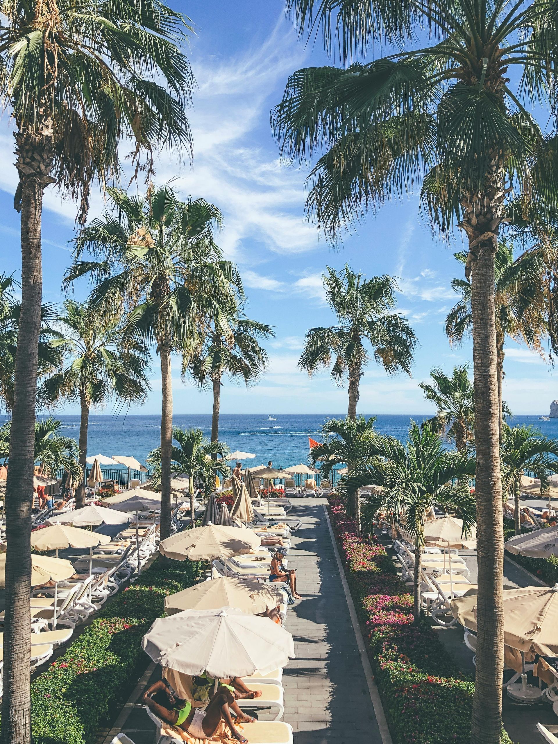 Tropical resort walkway lined with palm trees and white umbrellas overlooking the ocean
