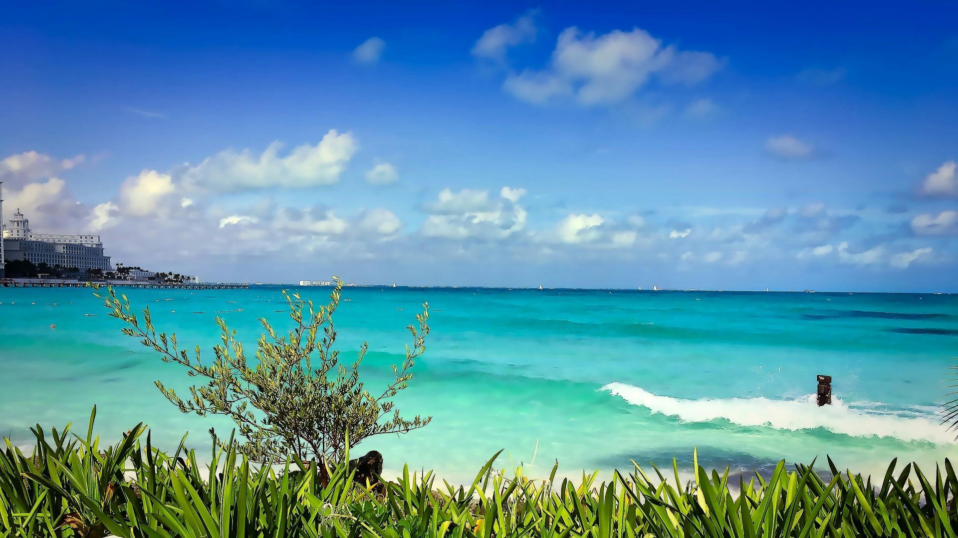A person stands in turquoise ocean water near a green grassy foreground under a bright blue sky with light clouds.