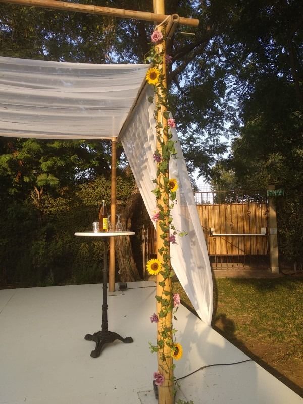 חופה בליפוף קיסוס ופרחים עמידים.