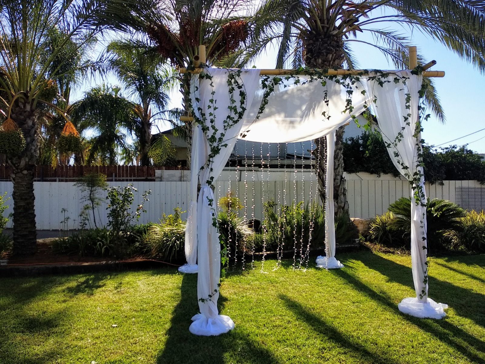 חופת קיסוס עדינה