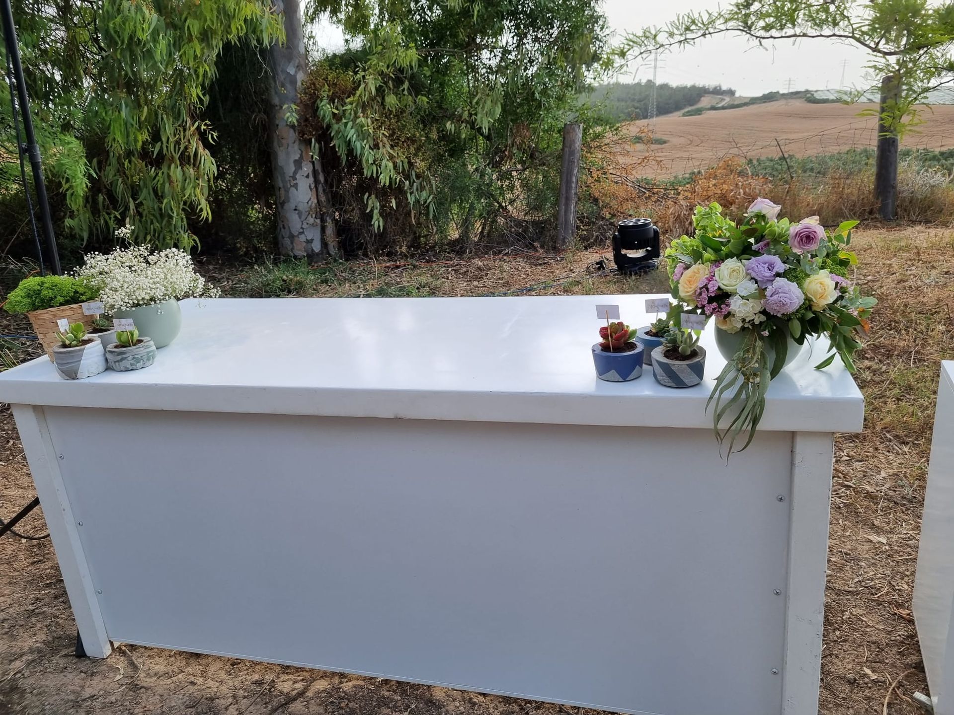 סידור פרחים לעמדת מארחת