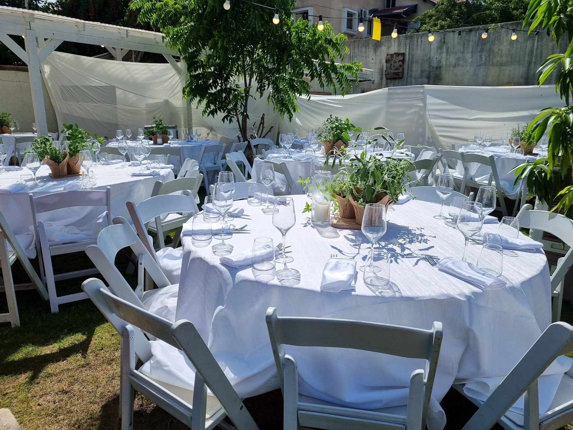 מרכז שולחן צמחי תבלין