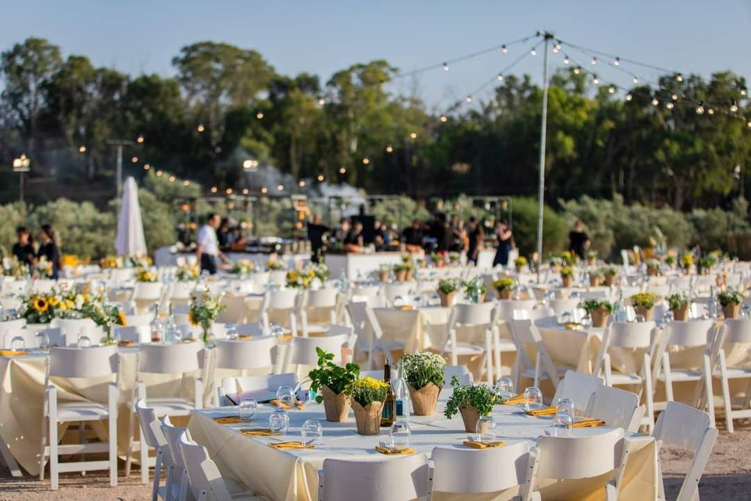 מרכז שולחן צמחי תבלין