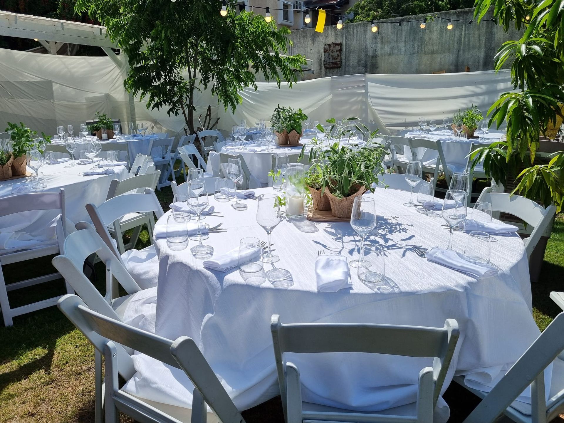 מרכז שולחן צמחי תבלין