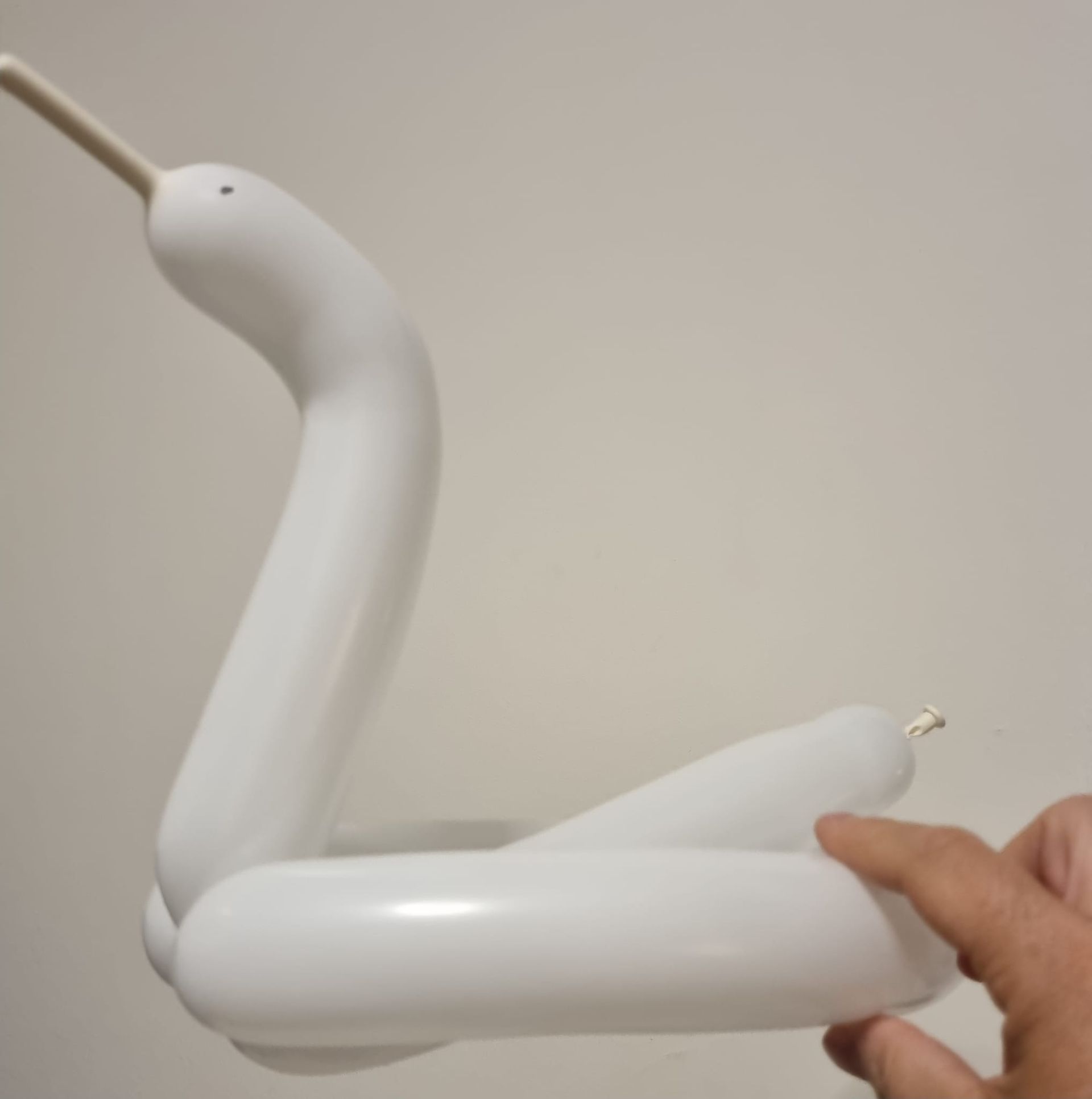 בלוני צורות - ברבור