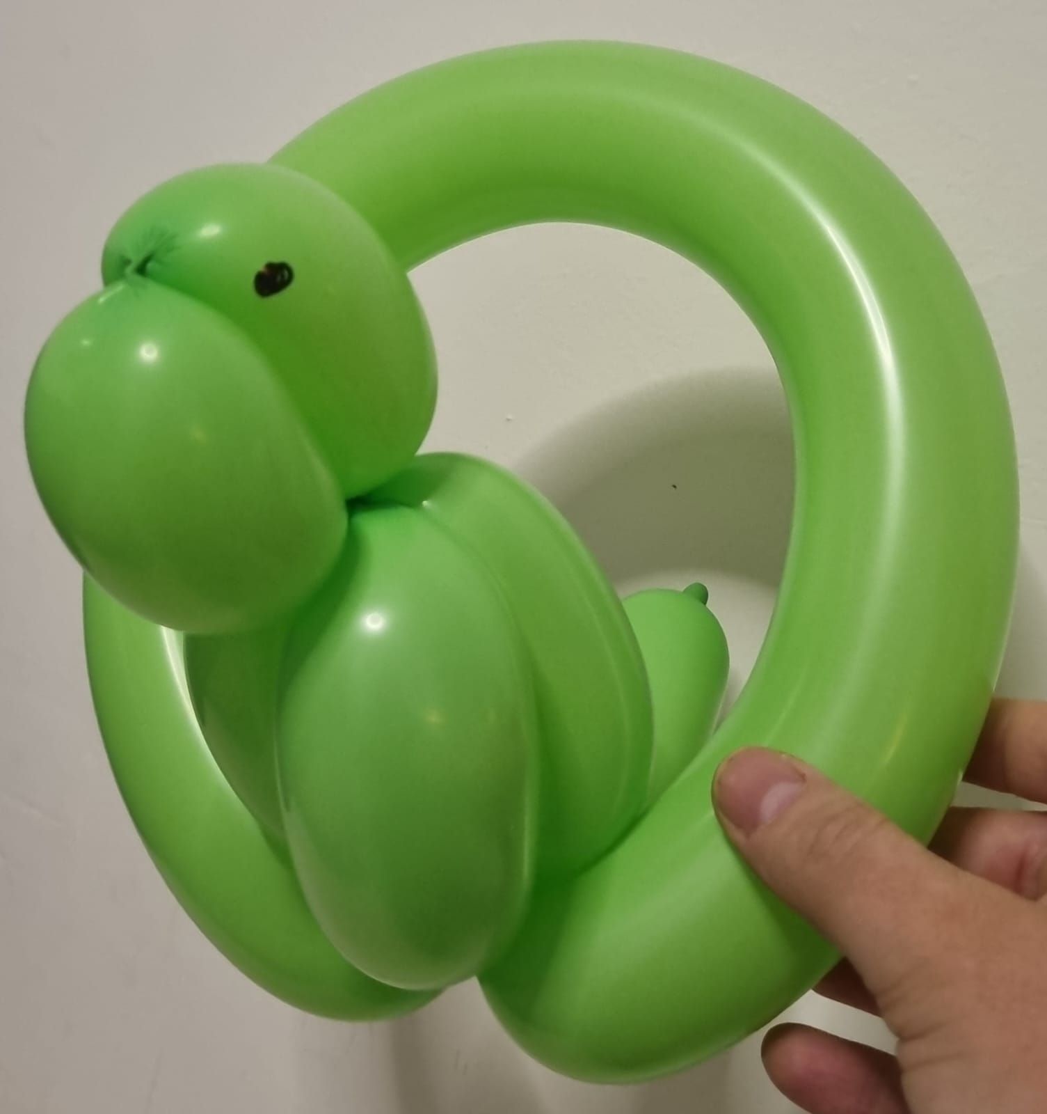 בלוני צורות - תוכי