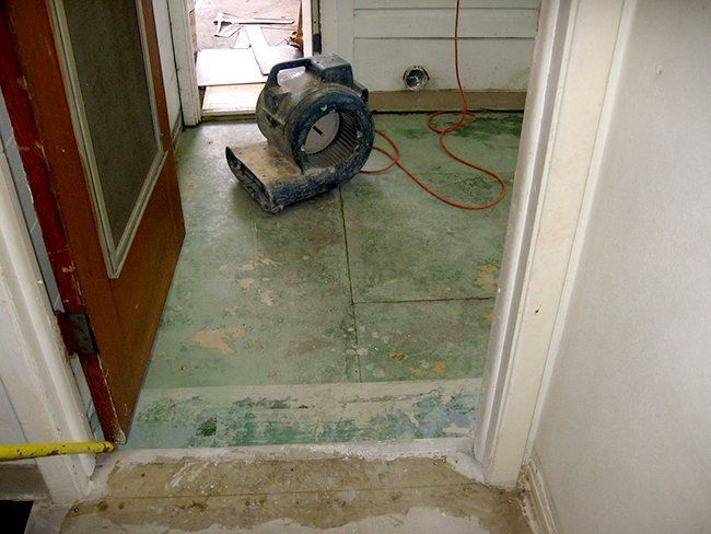 An industrial air mover sits on a green-painted floor in a room undergoing renovation.