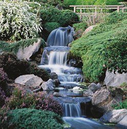 japanase garden with falls