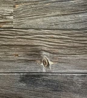 Weathered gray wood planks with knot.