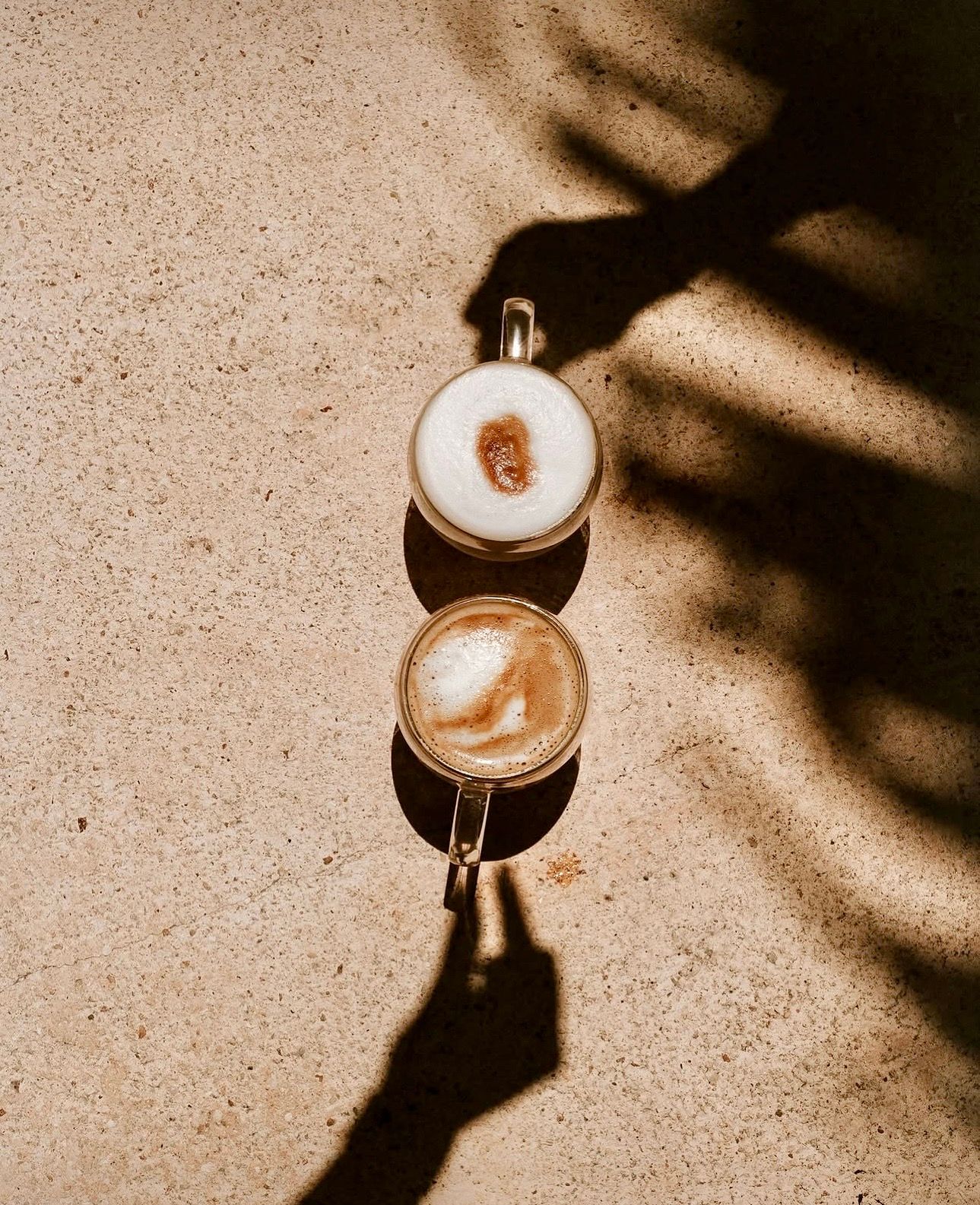 Marley Coffee