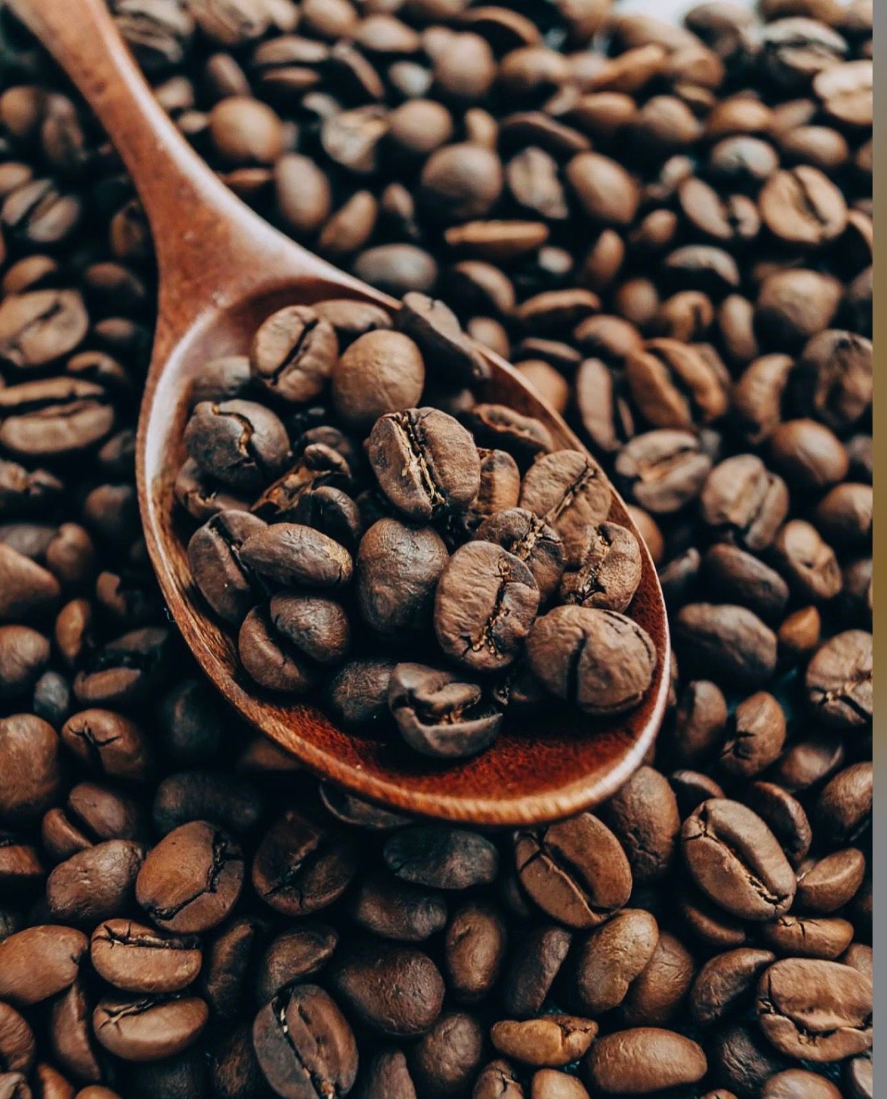 Marley Coffee