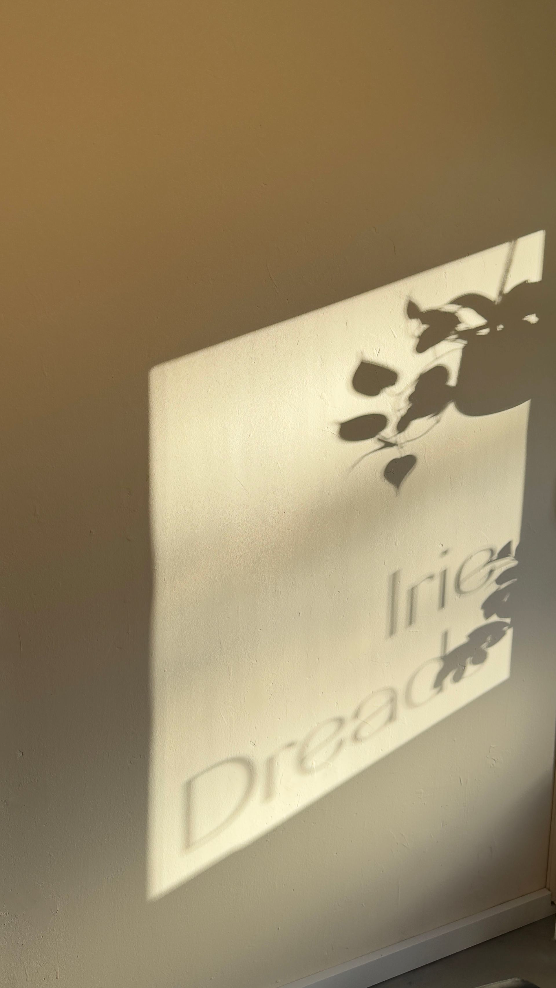 Schaduw van een plant en de tekst 