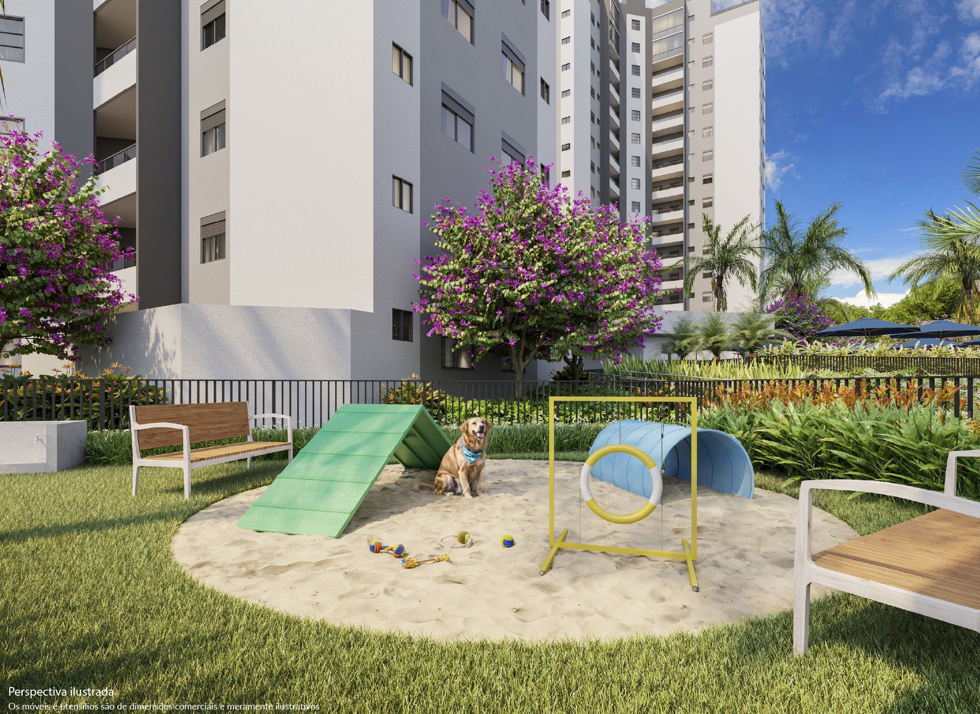 Parque para cães com um cachorrinho brincando; rampa, túnel, bancos, prédios altos ao fundo.