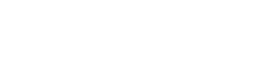 icon logo