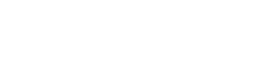 icon logo