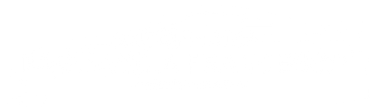 icon logo