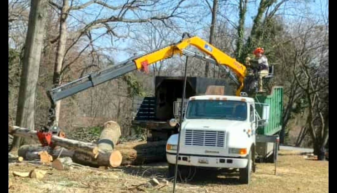 A truck with a crane attached to it is carrying logs.
