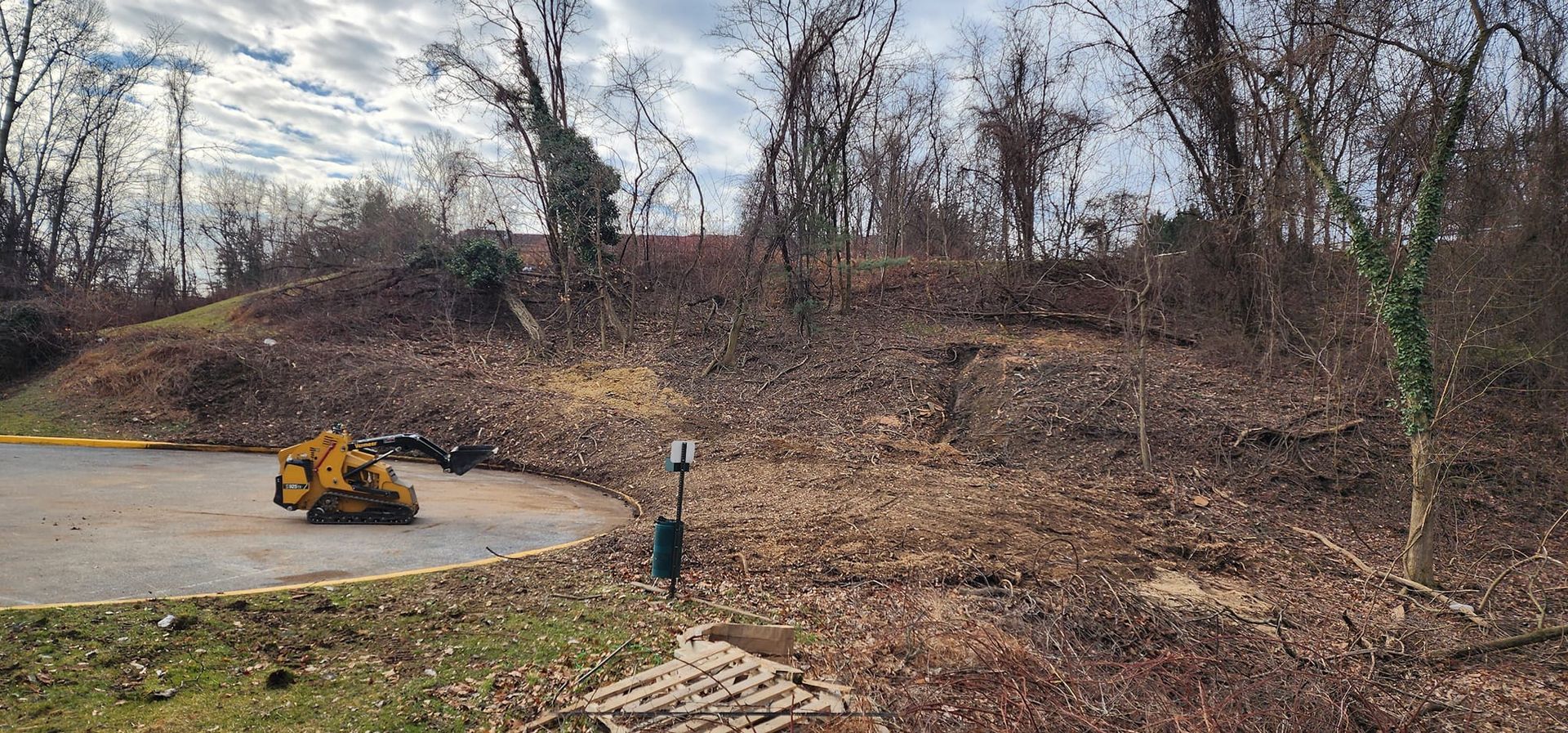 A yellow tractor is parked in the middle of a lush green forest.