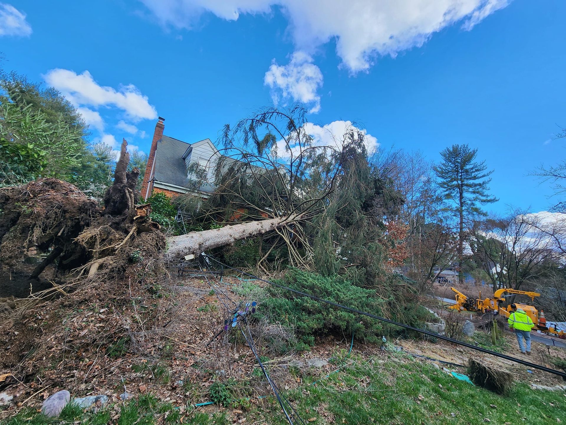 A pile of fallen trees in a yard with a house in the background.