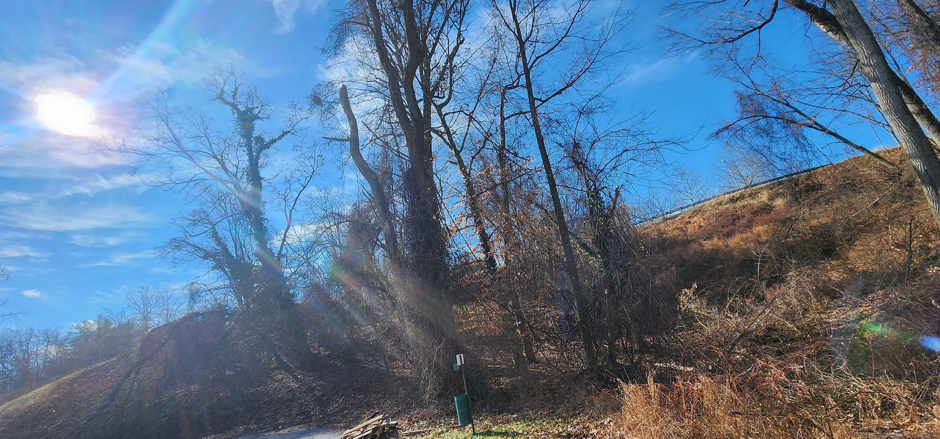 A person is walking down a path in the woods on a sunny day.