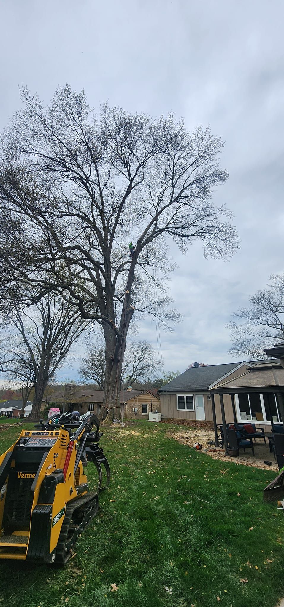 A tree stump grinder is sitting in the grass in front of a house.