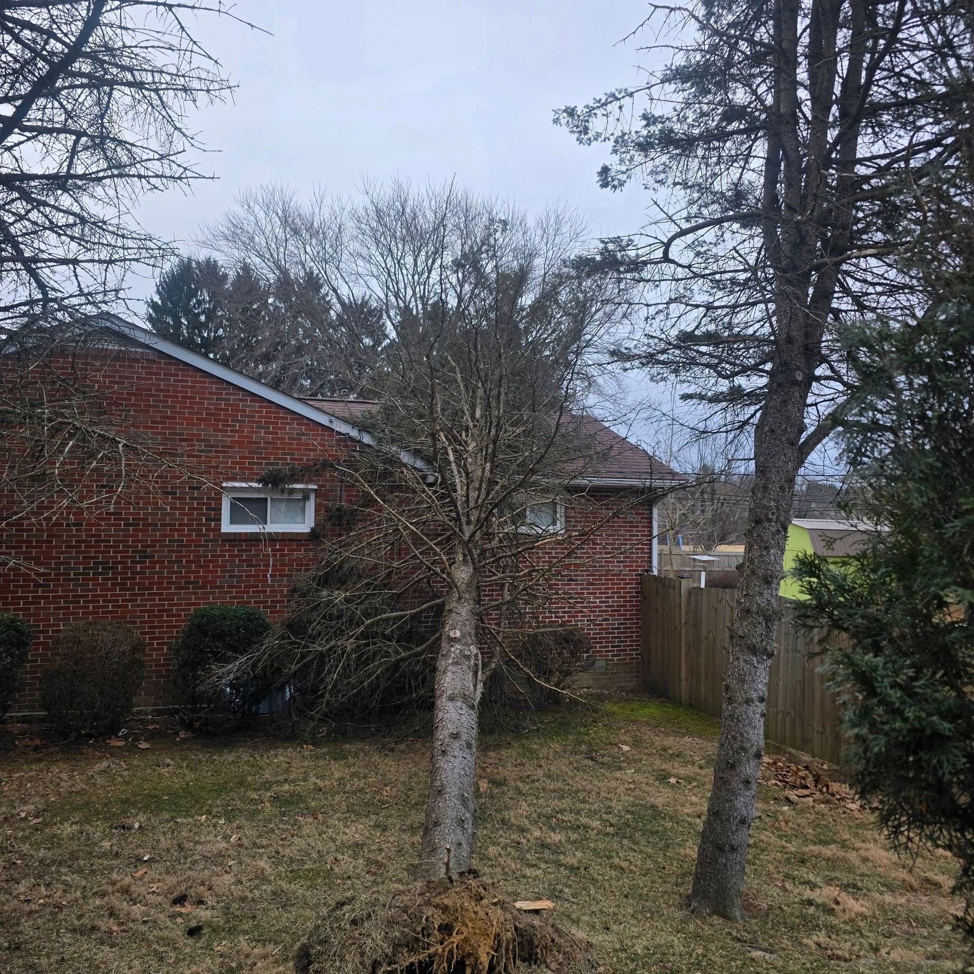 A brick house with a fence and trees in front of it.