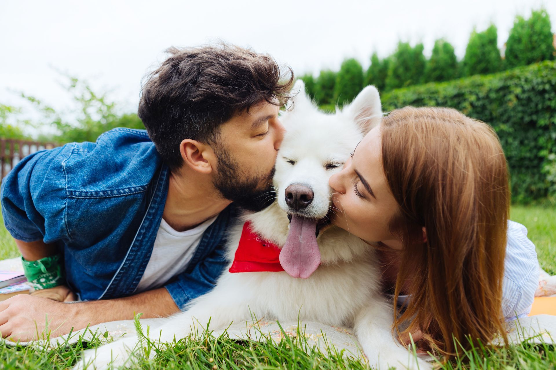 Pet Custody in a UK Divorce