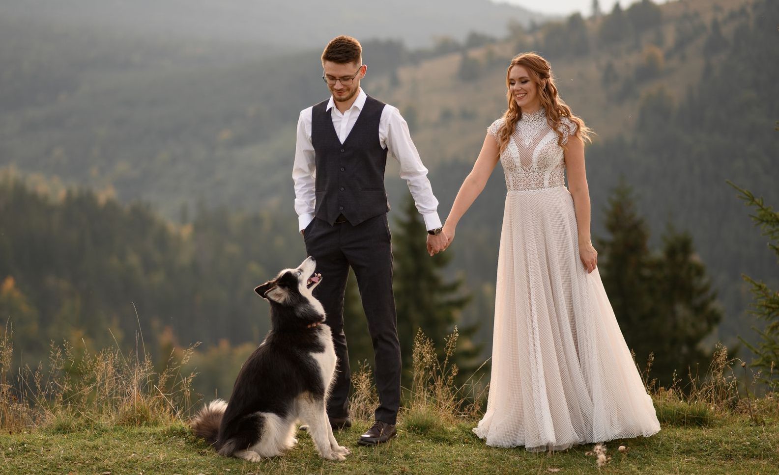 pets and divorce