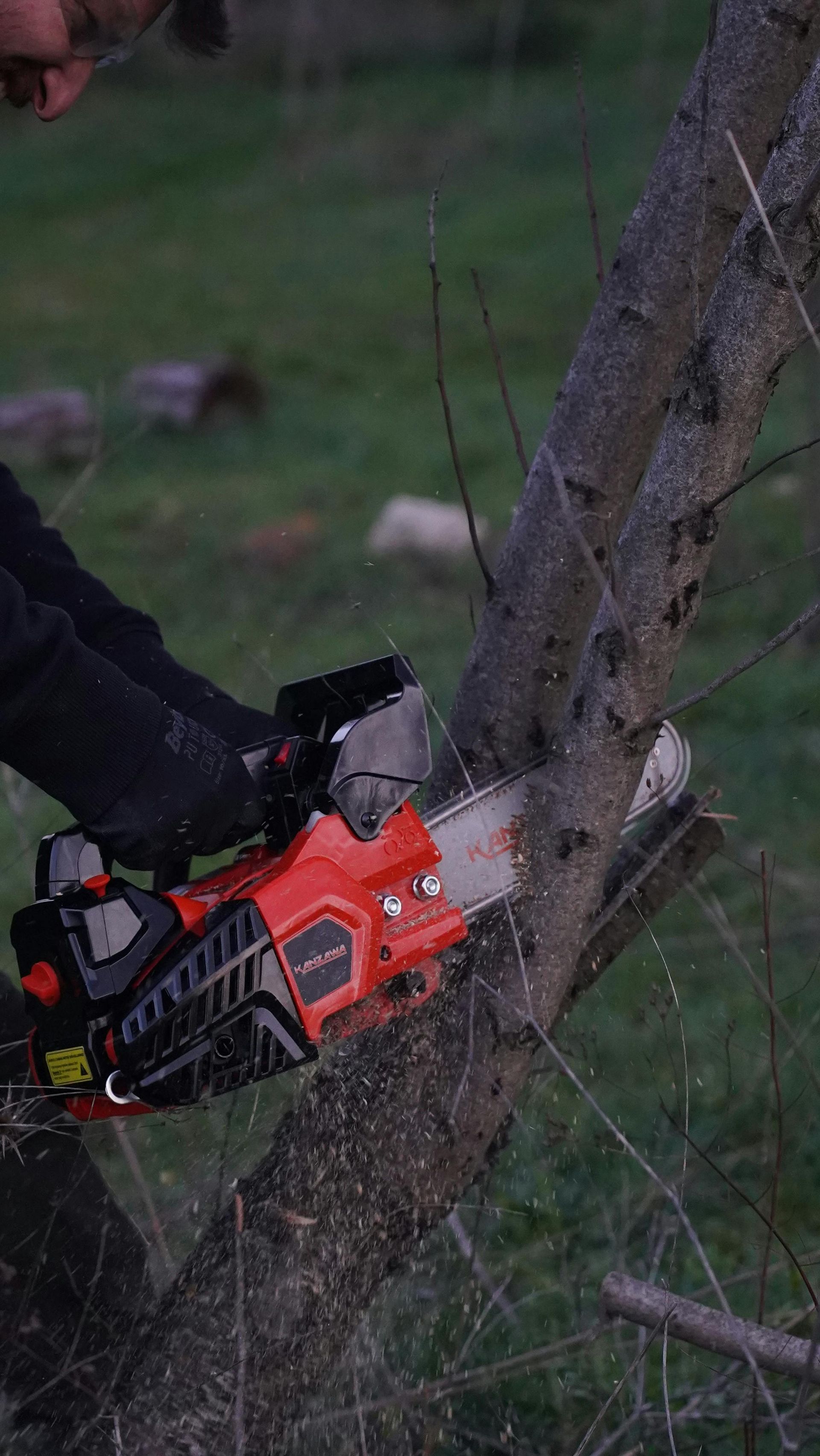 A man is cutting a tree branch with a chainsaw.