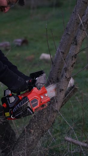 A man is cutting a tree branch with a chainsaw.