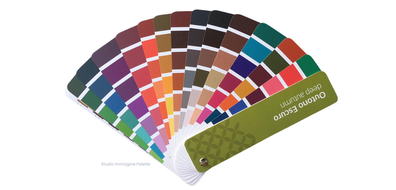 A fan shaped color swatch book with many different colors
