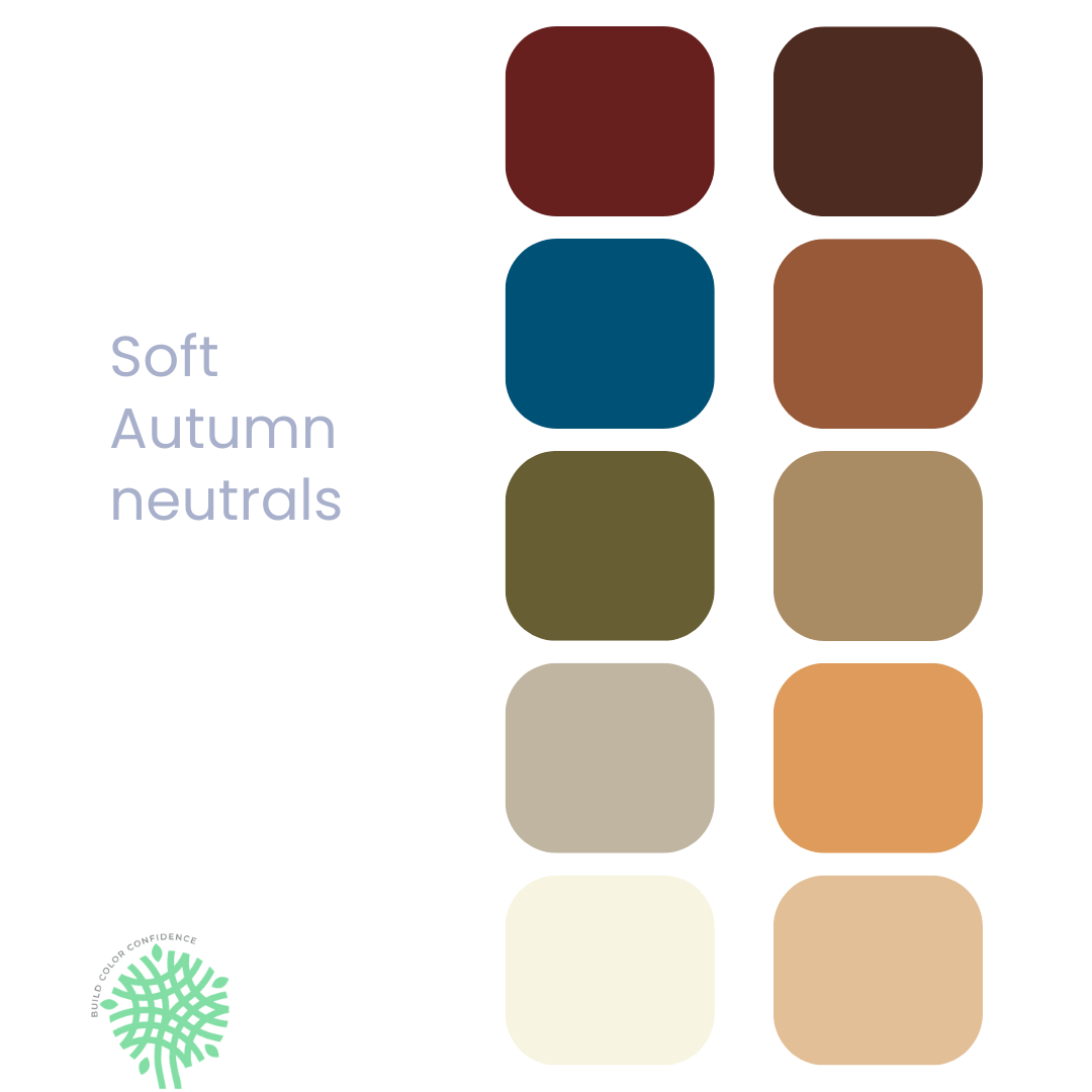 A palette of colors for soft autumn neutrals