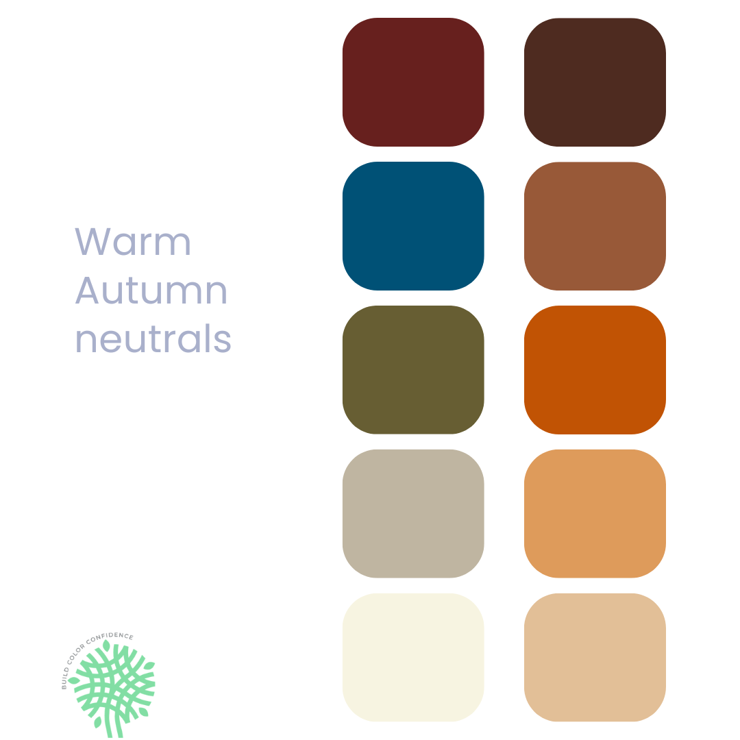 A palette of colors for warm autumn neutrals