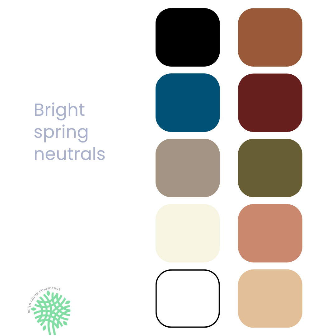 A palette of bright spring neutrals with a circle in the middle.