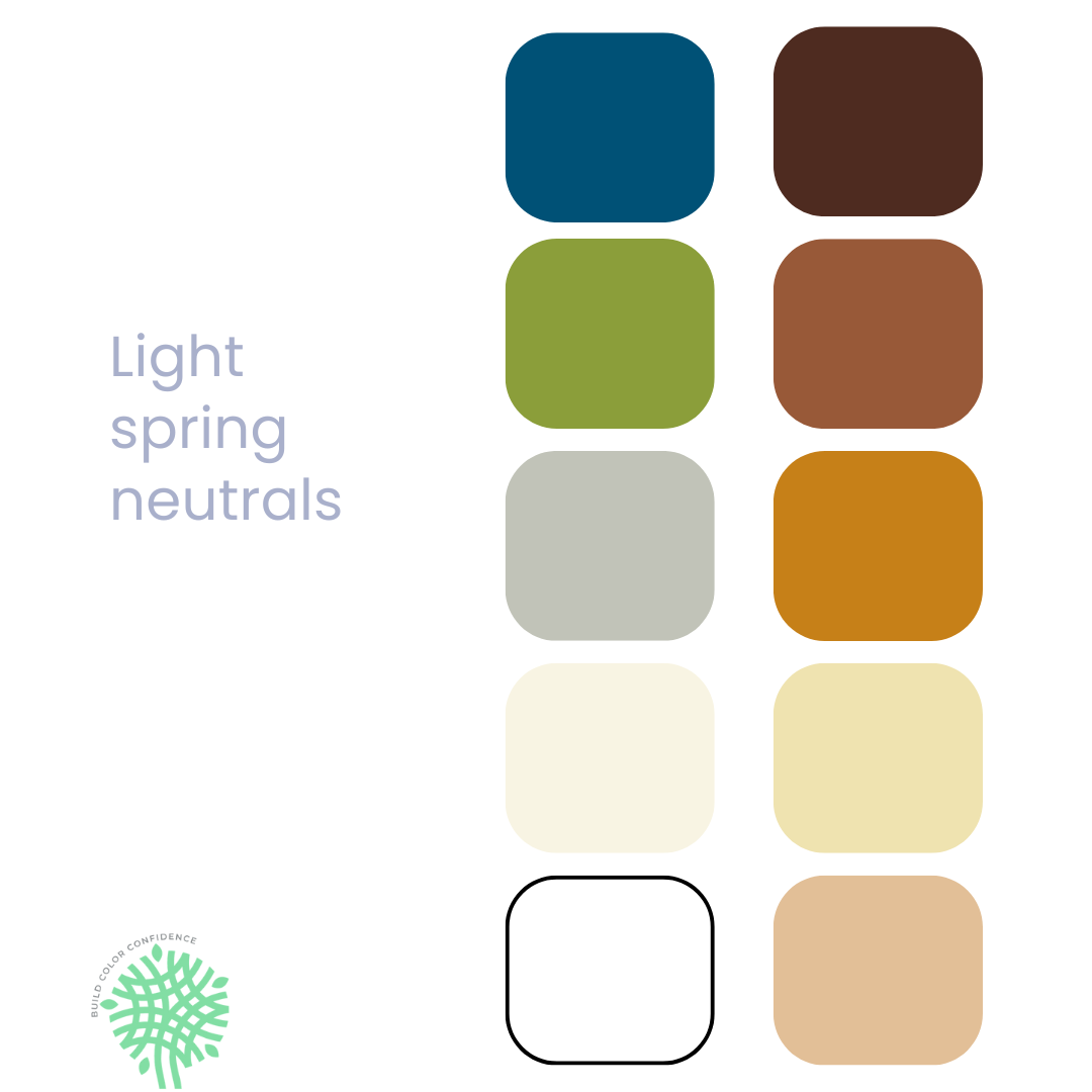 A palette of light spring neutrals with a circle in the middle.