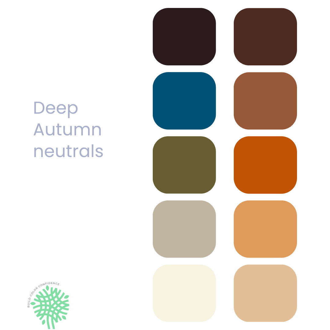 A palette of colors for deep autumn neutrals