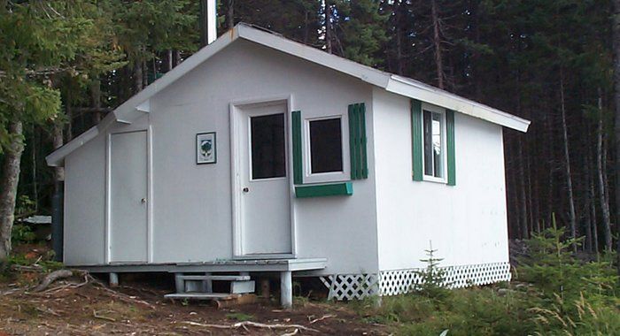 A small white house with green shutters in the woods