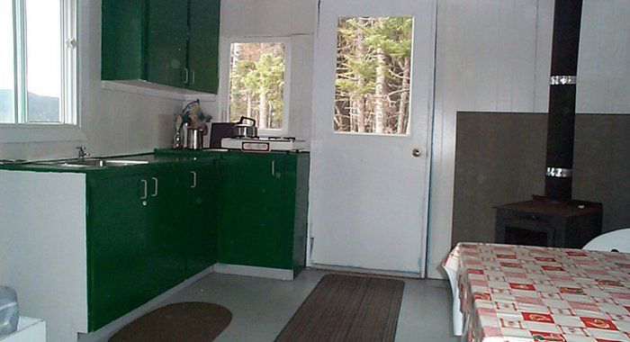 A kitchen with green cabinets and a white door