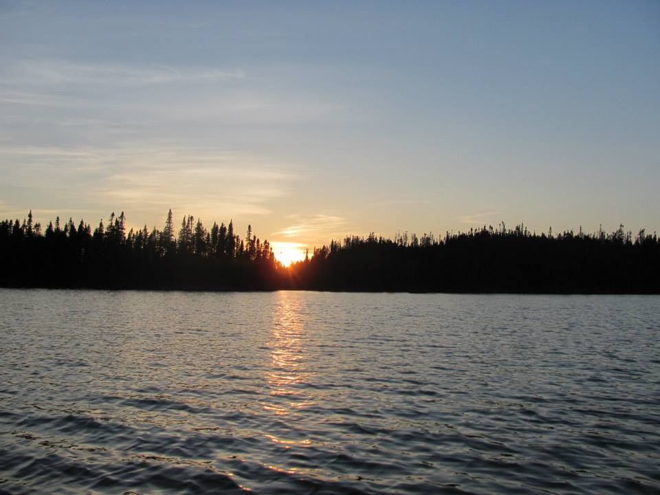 The sun is setting over a lake with trees in the background